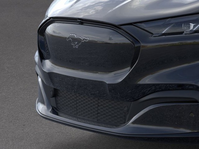 Ford Mustang Mach-E Vehicle Full-screen Gallery Image 17