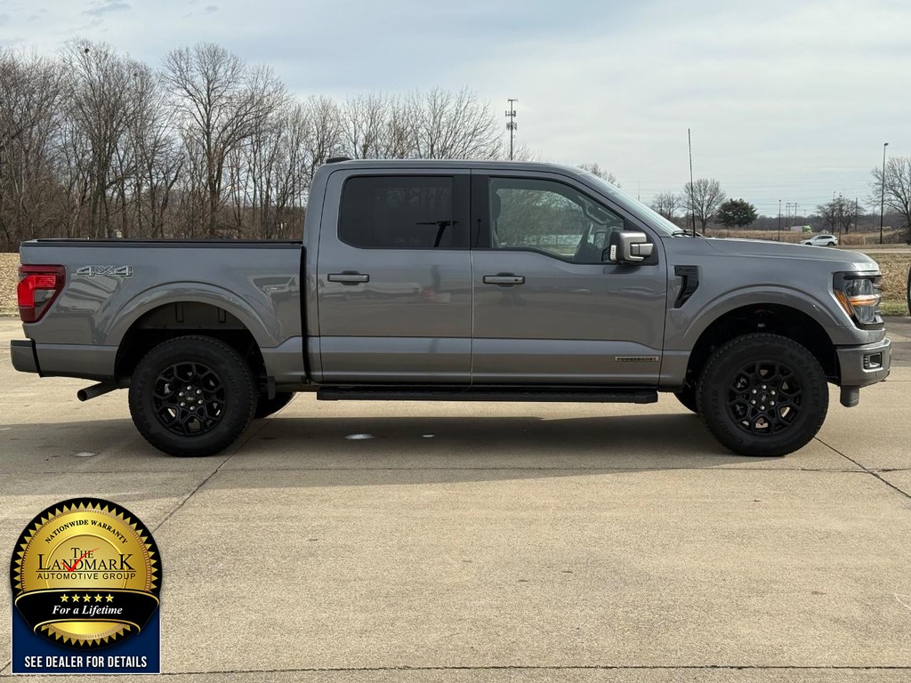 Ford F-150 Vehicle Full-screen Gallery Image 4