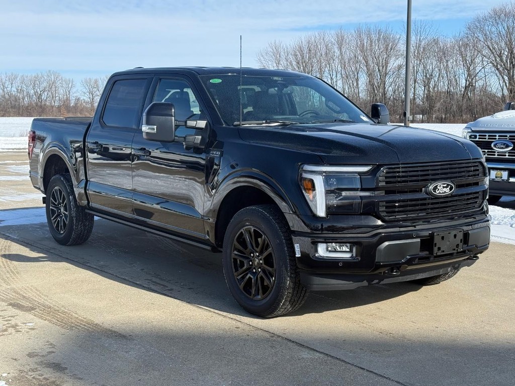 Ford F-150 Vehicle Full-screen Gallery Image 3