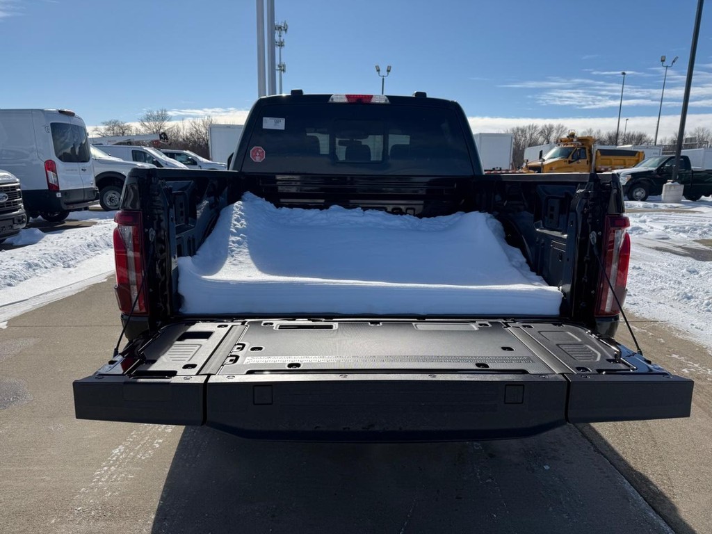 Ford F-150 Vehicle Full-screen Gallery Image 20