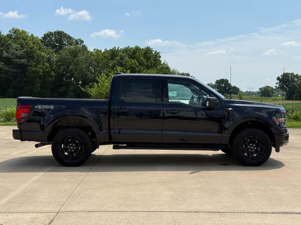 Ford F-150 Vehicle Full-screen Gallery Image 4