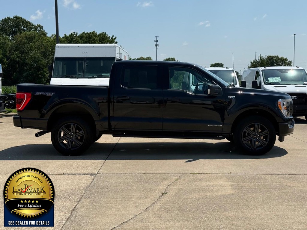 Ford F-150 Vehicle Full-screen Gallery Image 4