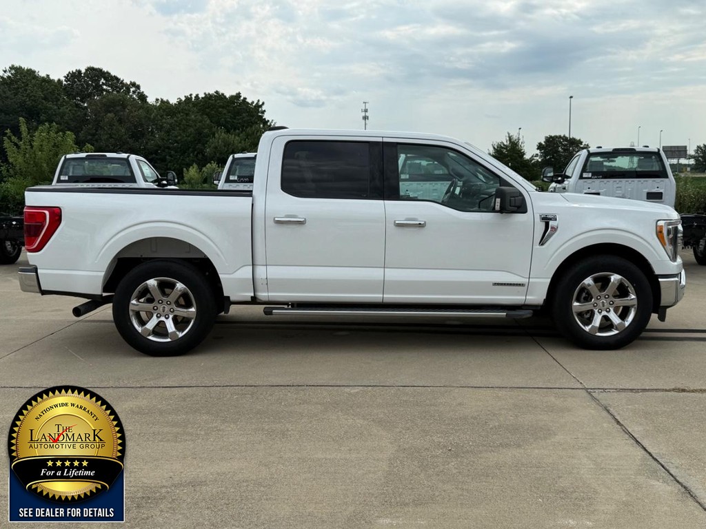 Ford F-150 Vehicle Full-screen Gallery Image 4