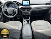 2022 Ford Escape SE Hybrid thumbnail image 16