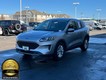 2021 Ford Escape SE Hybrid thumbnail image 05