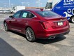 2024 Cadillac CT5 Premium Luxury thumbnail image 06