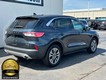 2022 Ford Escape SEL thumbnail image 03