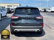 2022 Ford Escape SEL thumbnail image 07
