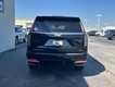 2023 Cadillac Escalade ESV Premium Luxury thumbnail image 07