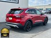 2023 Ford Escape Active thumbnail image 03