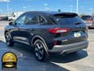 2025 Ford Escape ST-Line Select thumbnail image 06
