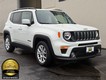 2019 Jeep Renegade 2WD Latitude thumbnail image 02
