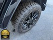 2024 Jeep Wrangler 4xe Sahara thumbnail image 20