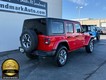 2021 Jeep Wrangler Sahara thumbnail image 03