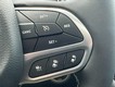 2026 Chrysler Pacifica Limited thumbnail image 13