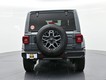 2026 Jeep Wrangler Sahara thumbnail image 07