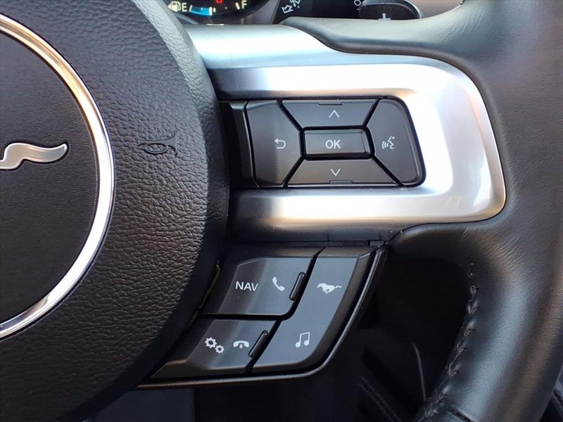 Ford Mustang Vehicle Full-screen Gallery Image 17