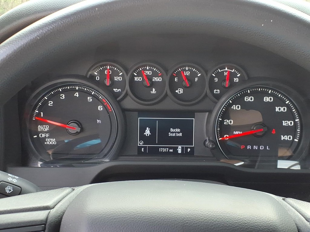 Chevrolet Silverado 1500 Vehicle Full-screen Gallery Image 10