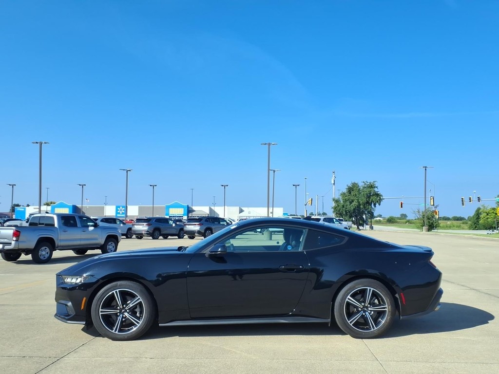 Ford Mustang Vehicle Full-screen Gallery Image 2