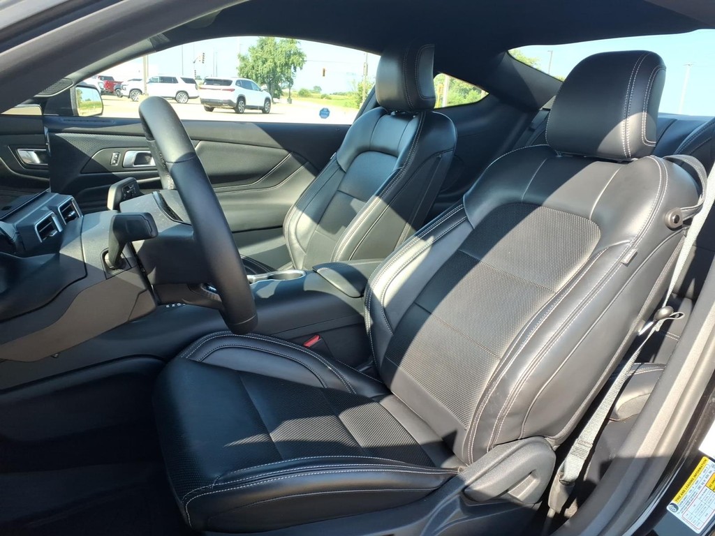 Ford Mustang Vehicle Full-screen Gallery Image 19