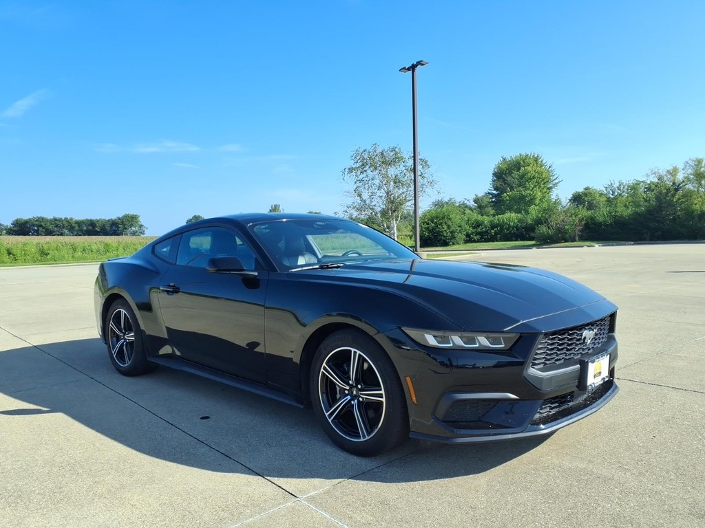 Ford Mustang Vehicle Full-screen Gallery Image 25