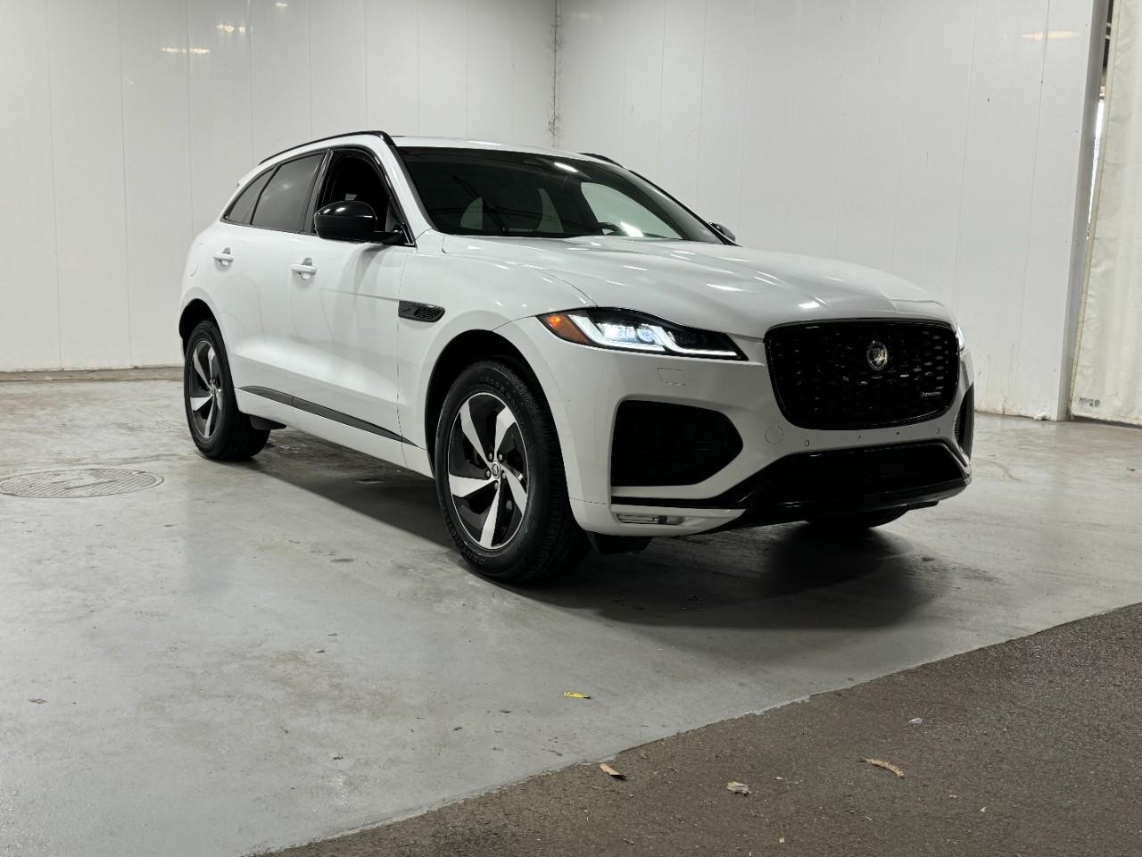 Jaguar F-Pace Vehicle Full-screen Gallery Image 6