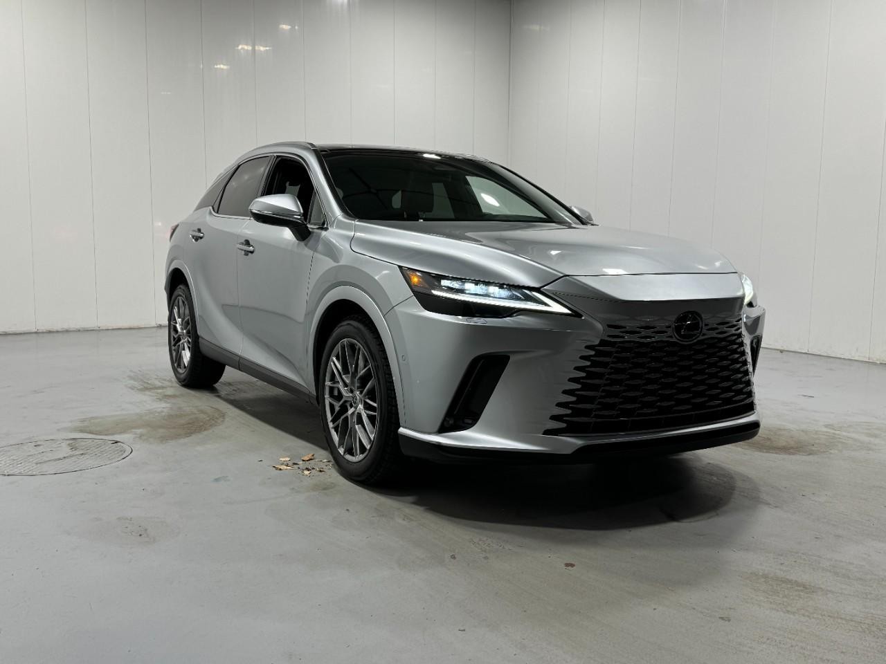 Lexus RX Vehicle Full-screen Gallery Image 6