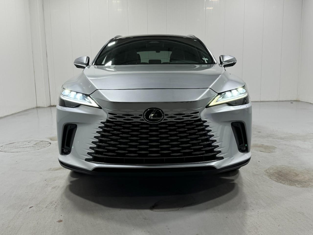 Lexus RX Vehicle Full-screen Gallery Image 7