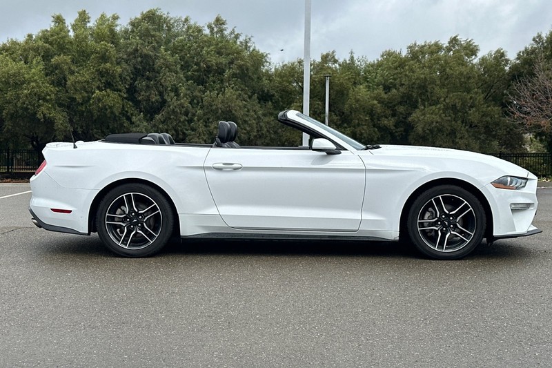 Ford Mustang Vehicle Full-screen Gallery Image 03