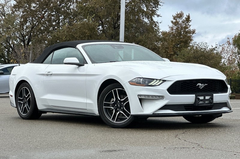 Ford Mustang Vehicle Full-screen Gallery Image 10