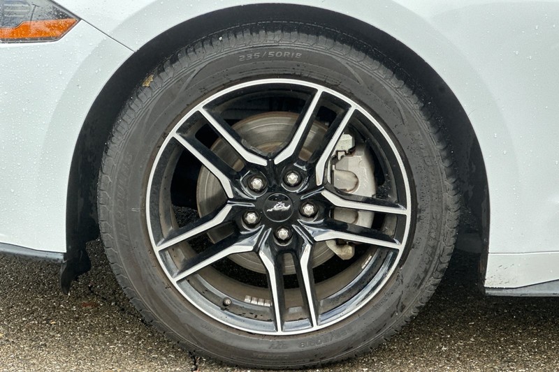 Ford Mustang Vehicle Full-screen Gallery Image 44