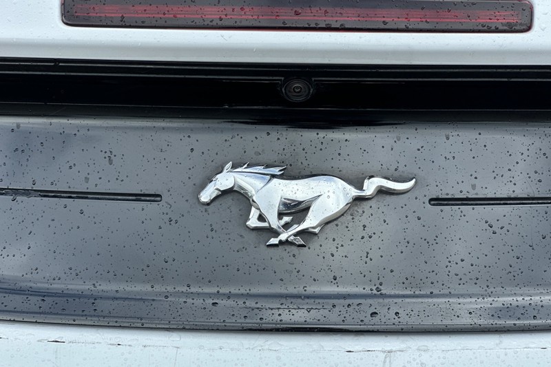 Ford Mustang Vehicle Full-screen Gallery Image 48