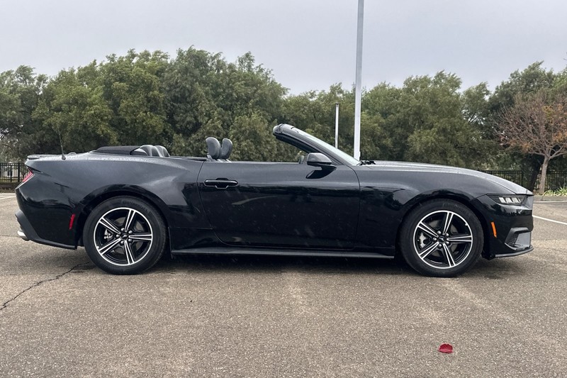 Ford Mustang Vehicle Full-screen Gallery Image 03