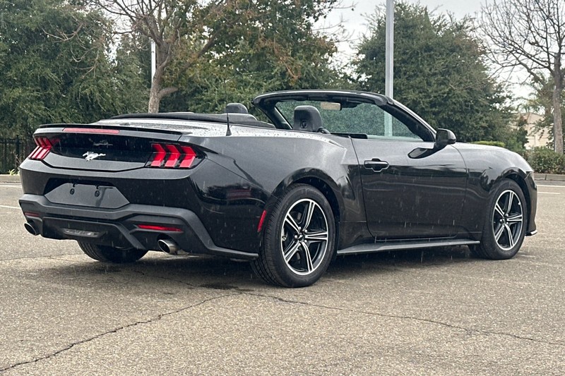 Ford Mustang Vehicle Full-screen Gallery Image 04