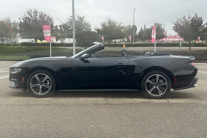 Ford Mustang Vehicle Full-screen Gallery Image 07