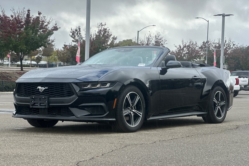 Ford Mustang Vehicle Full-screen Gallery Image 08