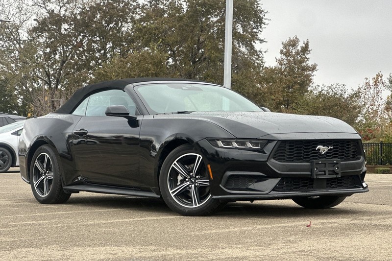 Ford Mustang Vehicle Full-screen Gallery Image 10