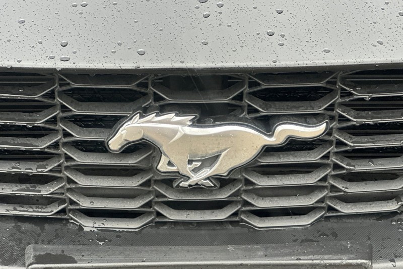 Ford Mustang Vehicle Full-screen Gallery Image 45