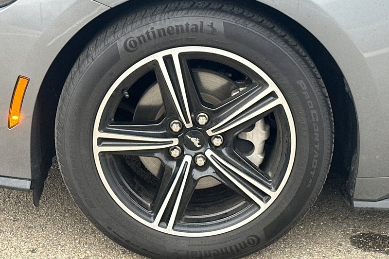 Ford Mustang Vehicle Full-screen Gallery Image 43