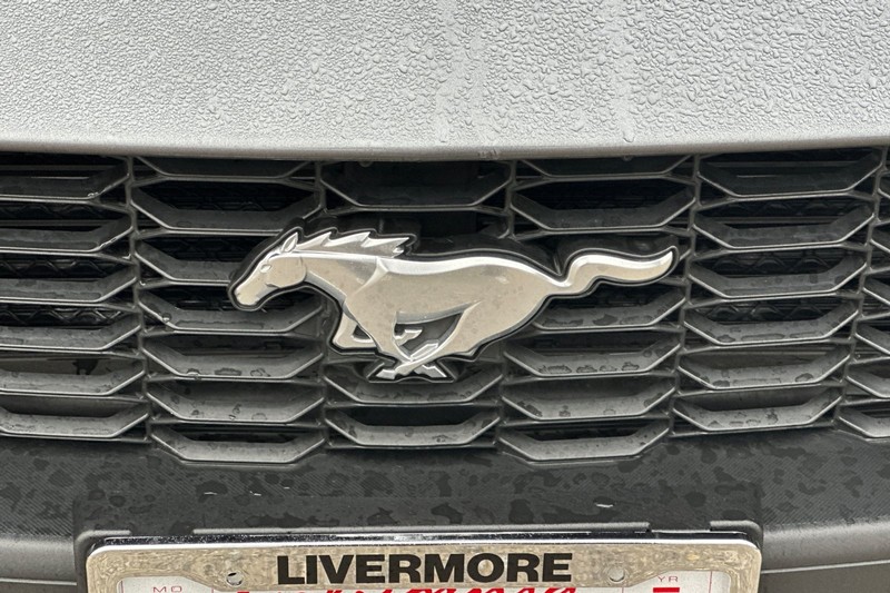 Ford Mustang Vehicle Full-screen Gallery Image 45