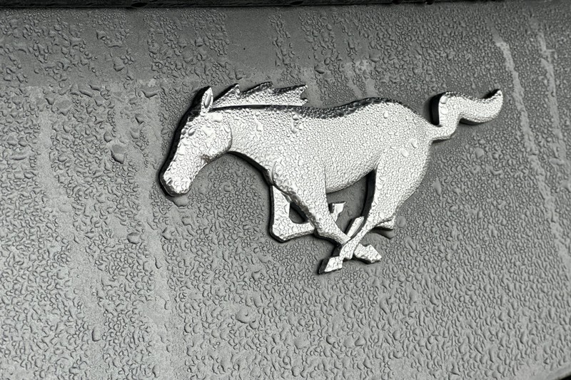 Ford Mustang Vehicle Full-screen Gallery Image 49