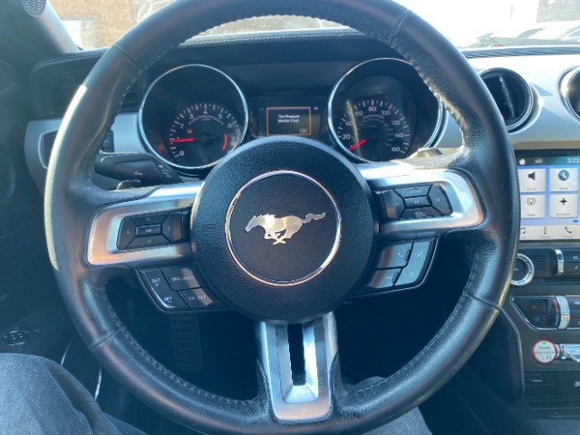 Ford Mustang Vehicle Full-screen Gallery Image 13