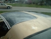 1979 Pontiac Trans Am   thumbnail image 03