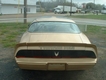 1979 Pontiac Trans Am   thumbnail image 06