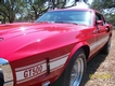 1969 Ford Mustang SHELBY GT 500 thumbnail image 01