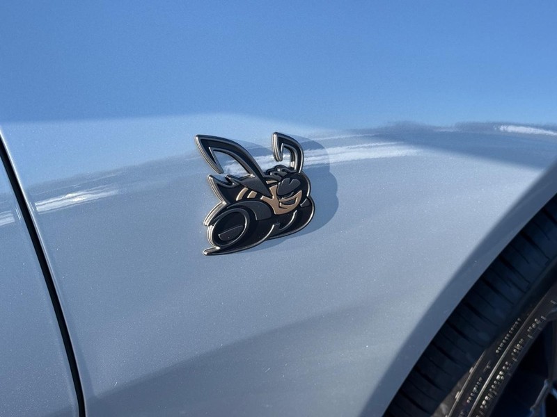 Dodge Charger Vehicle Full-screen Gallery Image 5