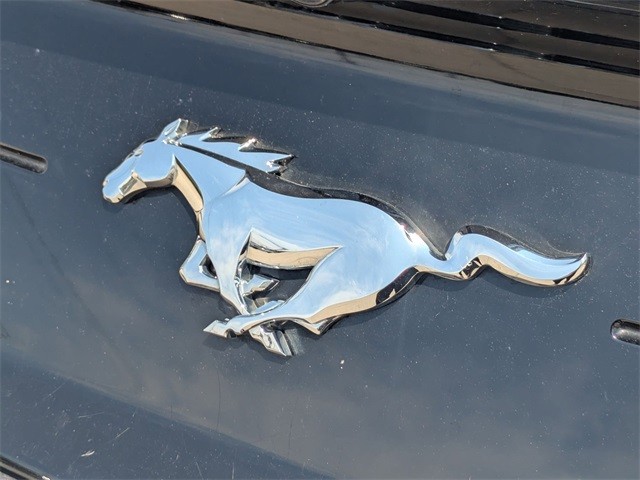 Ford Mustang Vehicle Full-screen Gallery Image 06