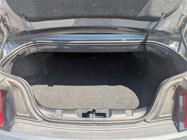 Ford Mustang Vehicle Full-screen Gallery Image 07