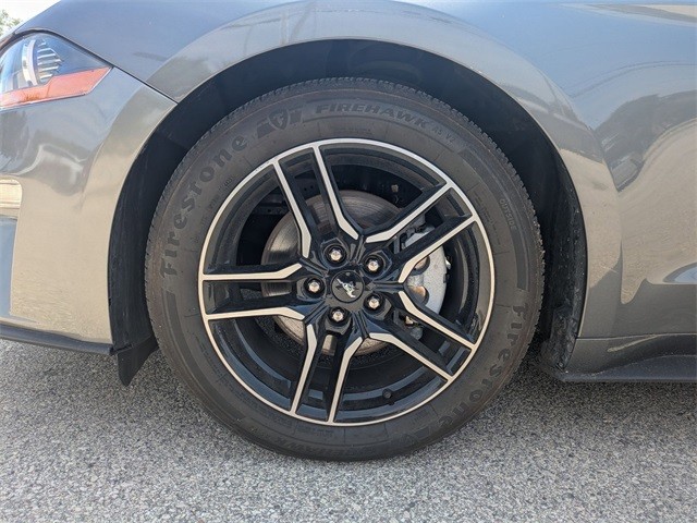 Ford Mustang Vehicle Full-screen Gallery Image 12