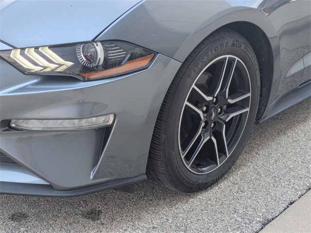 Ford Mustang Vehicle Full-screen Gallery Image 28